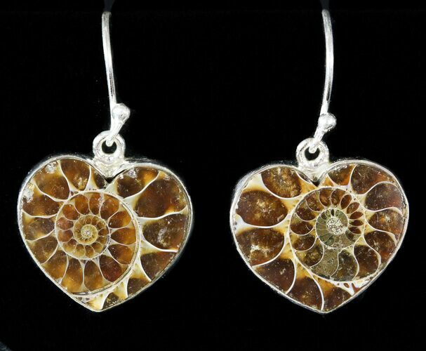 Fossil Ammonite Heart Earrings - Sterling Silver #48736